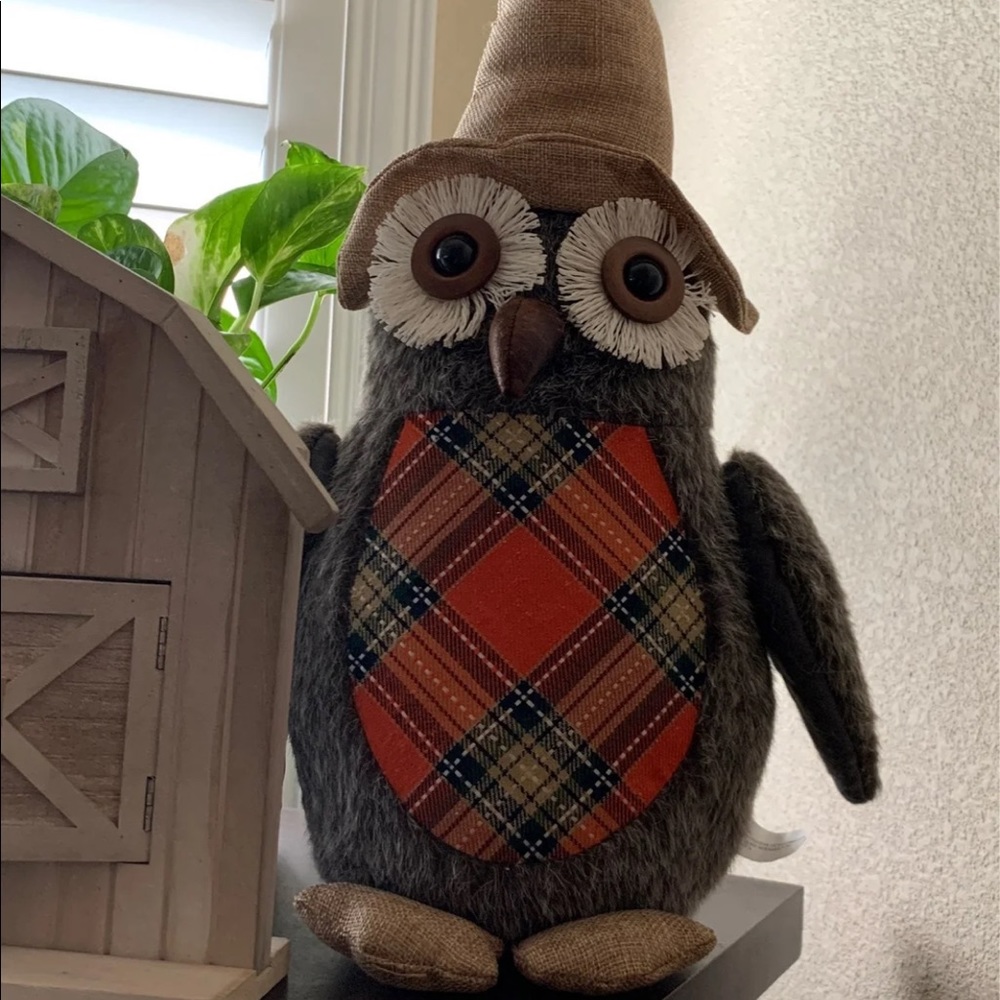 Shelf Sitter Fall Owl